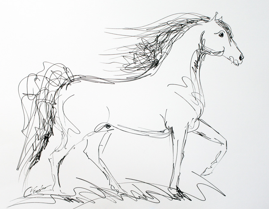 Morgan Horse Drawing At Paintingvalley.com 