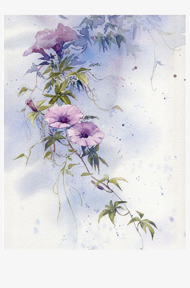 650x986 Morning Glory Decorative Painting, Morning Clipart, Morning Glory - Morning Glory Drawing