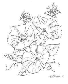 236x292 Morning Glory Flower Drawings Morning Glory Flower Drawing - Morning Glory Drawing