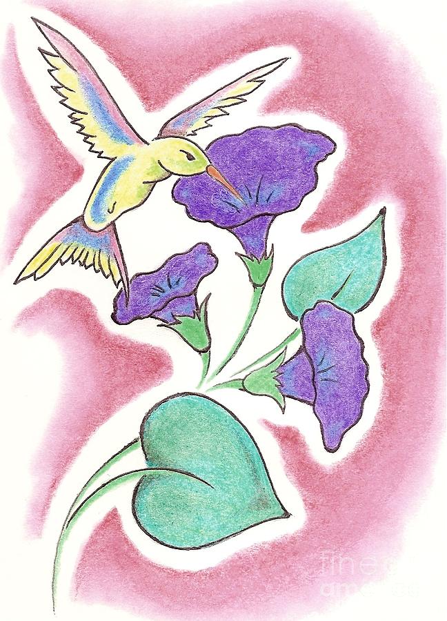 648x900 Morning Glories And Hummingbird Drawing - Morning Glory Flower Drawing