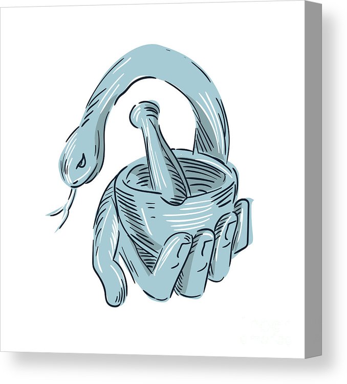 678x750 hand holding mortar and pestle snake drawing canvas print canvas - Mortar And Pestle Drawing