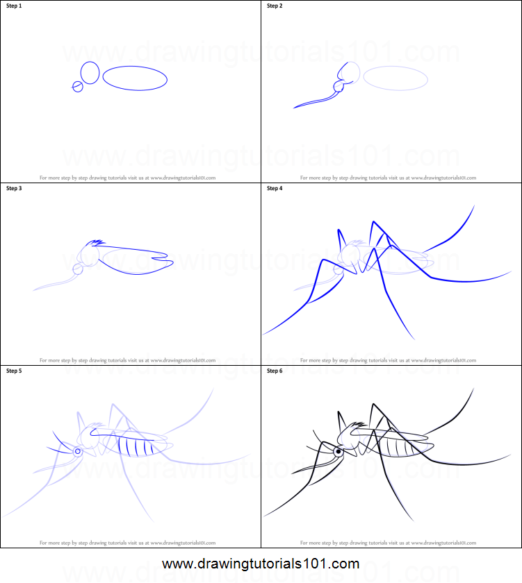 751x840 how to draw a mosquito printable step - Mosquito Drawing