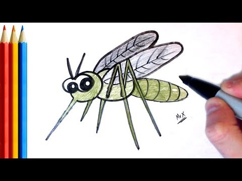 480x360 how to draw mosquito - Mosquito Drawing