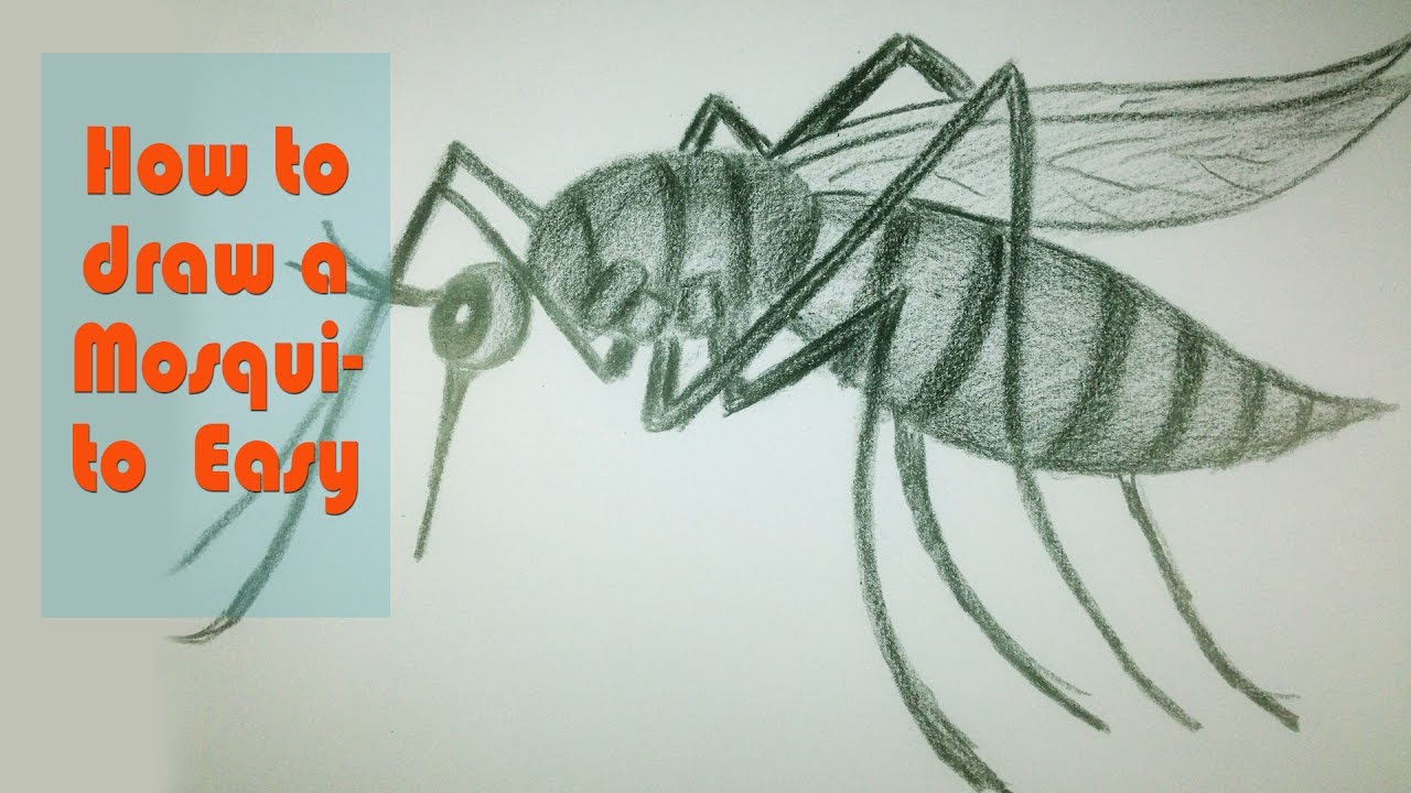 1280x720 how to draw a mosquito easy - Mosquito Drawing