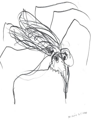 375x534 mosquito drawing - Mosquito Drawing