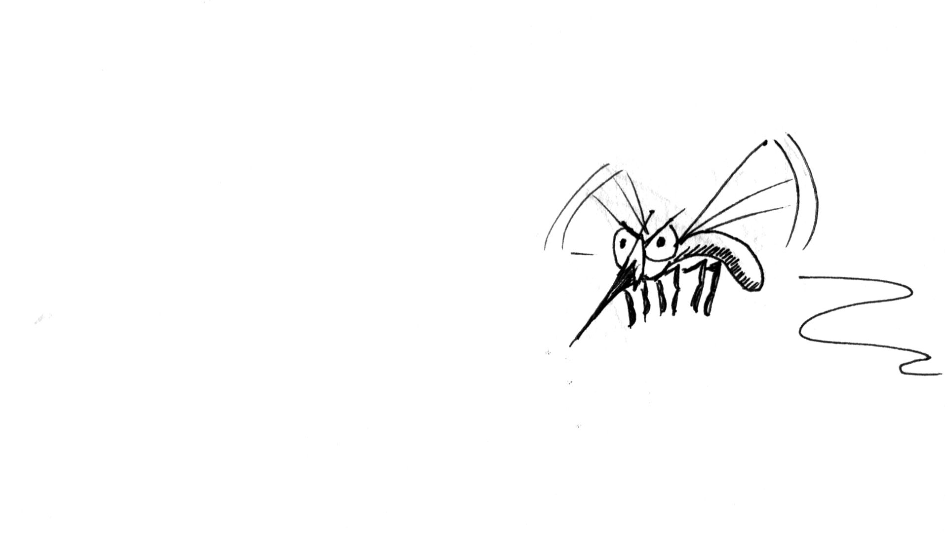 1920x1080 mosquito - Mosquito Drawing