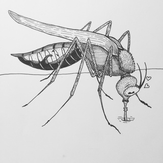 320x320 mosquito drawings on paigeeworld pictures of mosquito - Mosquito Drawing