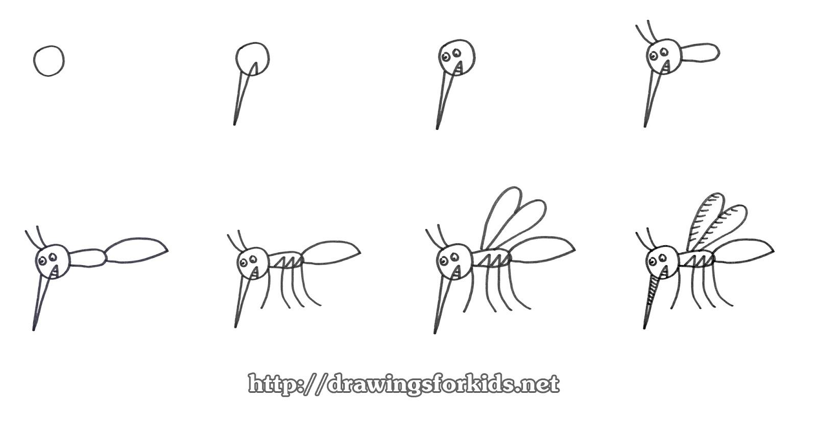 How To Draw A Mosquito Easy