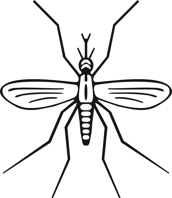 554x640 collection of free mosquito drawing easy download on ui ex - Mosquito Drawing