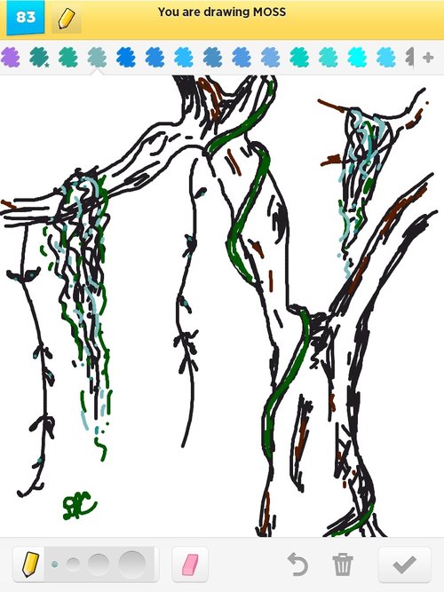 500x667 Moss Drawings - Moss Drawing