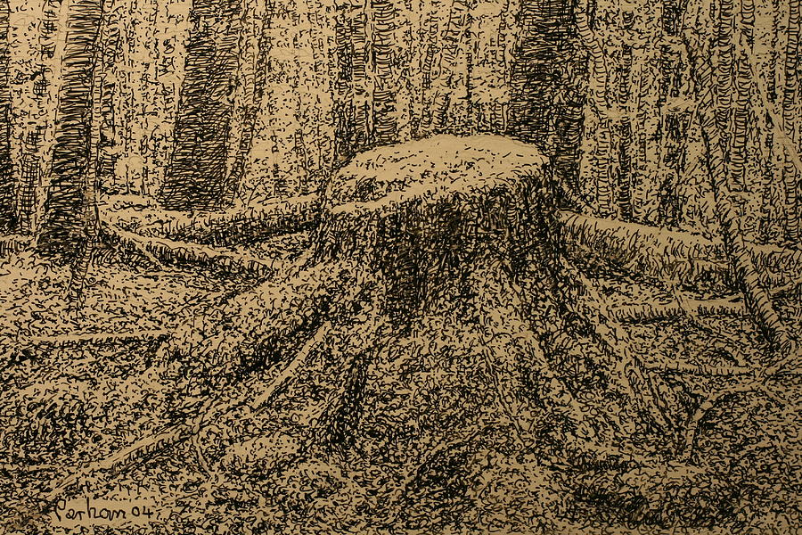 Moss Drawing at Explore collection of Moss Drawing