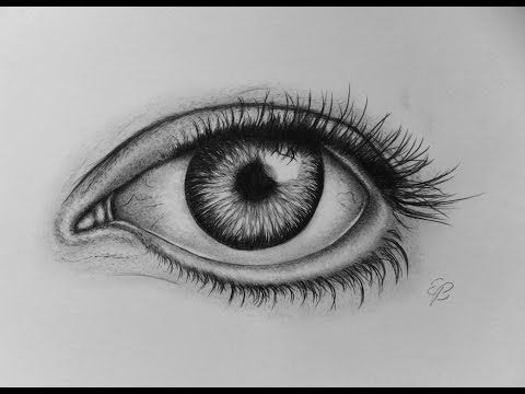 480x360 image result for most realistic drawing ever eyes eyes yeux - Most Realistic Drawing