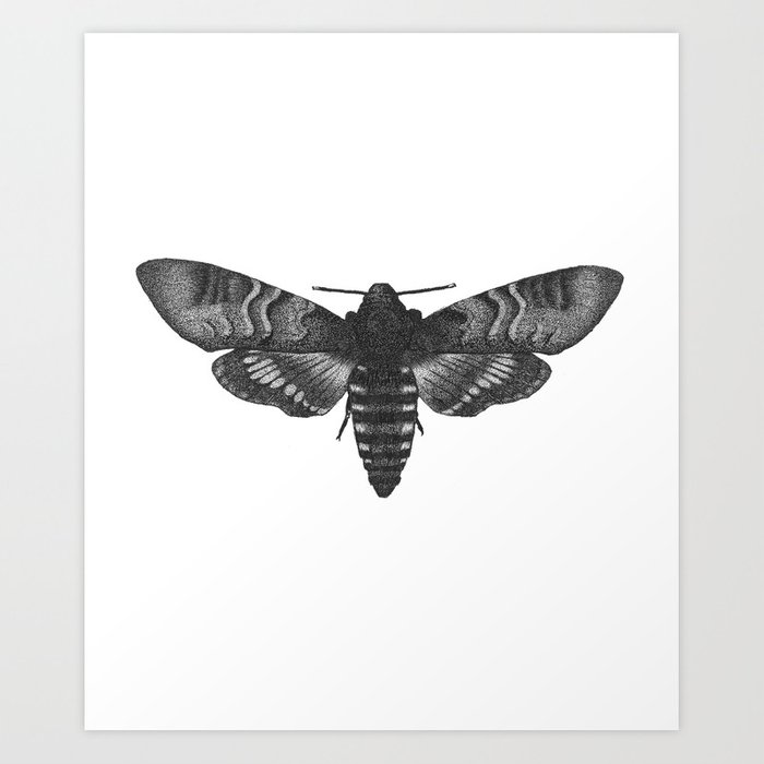 700x700 dotwork moth drawing art print - Moth Drawing
