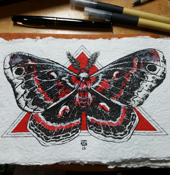 714x735 moth wings original drawing carly janine mazur - Moth Drawing