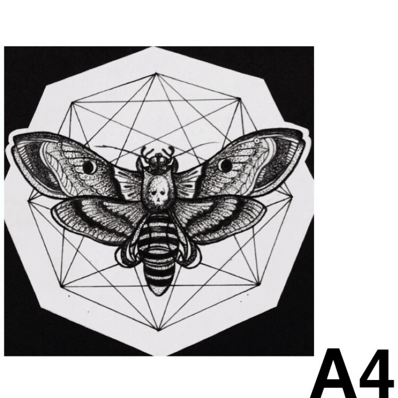 1280x1280 fine liner pen geometricdotwork death moth drawing - Moth Drawing