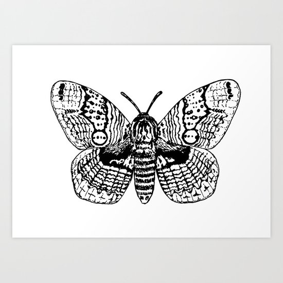 550x550 brahmin moth drawing art print - Moth Drawing