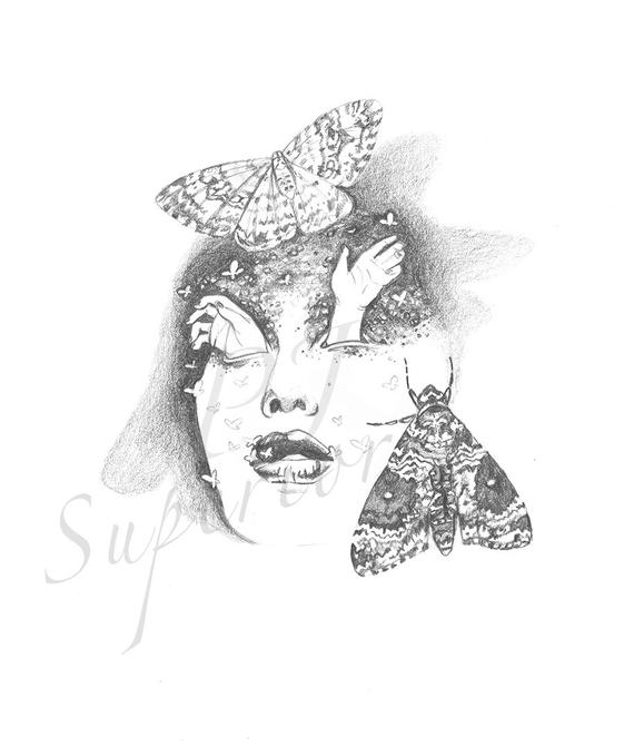 570x670 mistress moth original pencil drawing etsy - Moth Line Drawing