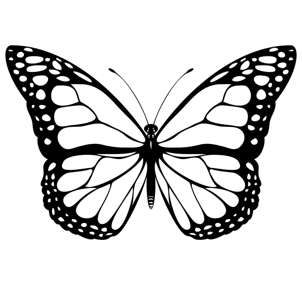 1024x1024 constantine primary school moth clipart line drawing - Moth Line Drawing