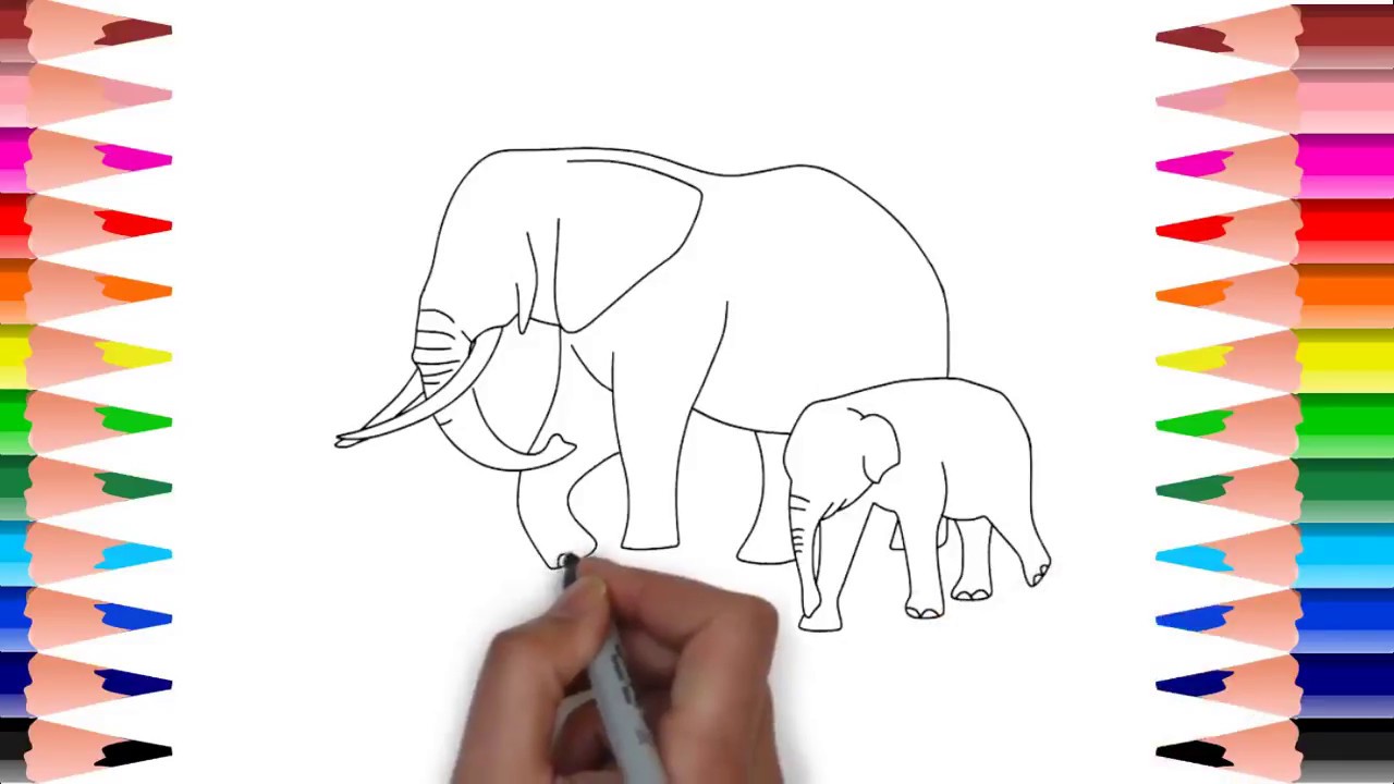 1280x720 How To Draw Mother Cute Baby Elephant Step - Mother And Baby Elephant Drawing
