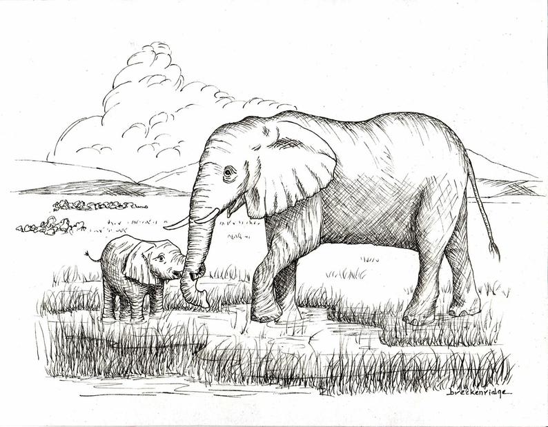 794x619 Mother And Baby Elephant Drawing Print Etsy - Mother And Baby Elephant Drawing
