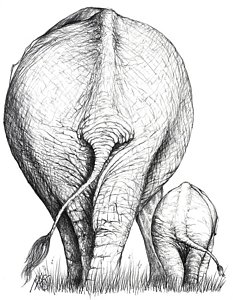 233x300 Baby Elephant Drawings Fine Art America - Mother And Baby Elephant Drawing