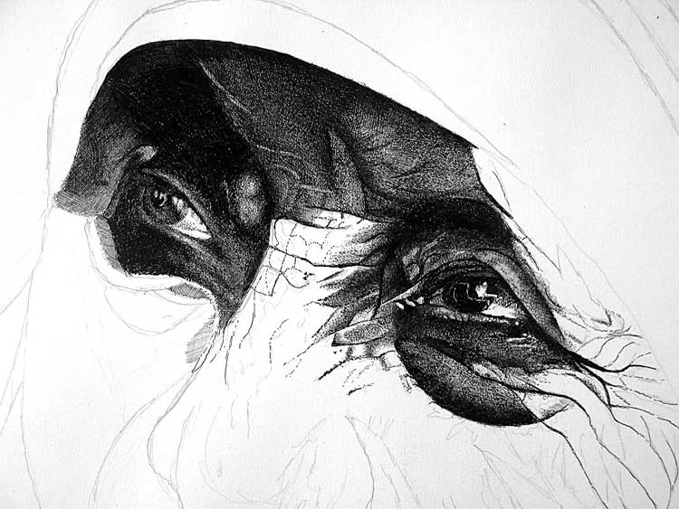 750x563 through the eyes of john baselmans step - Mother Teresa Drawing