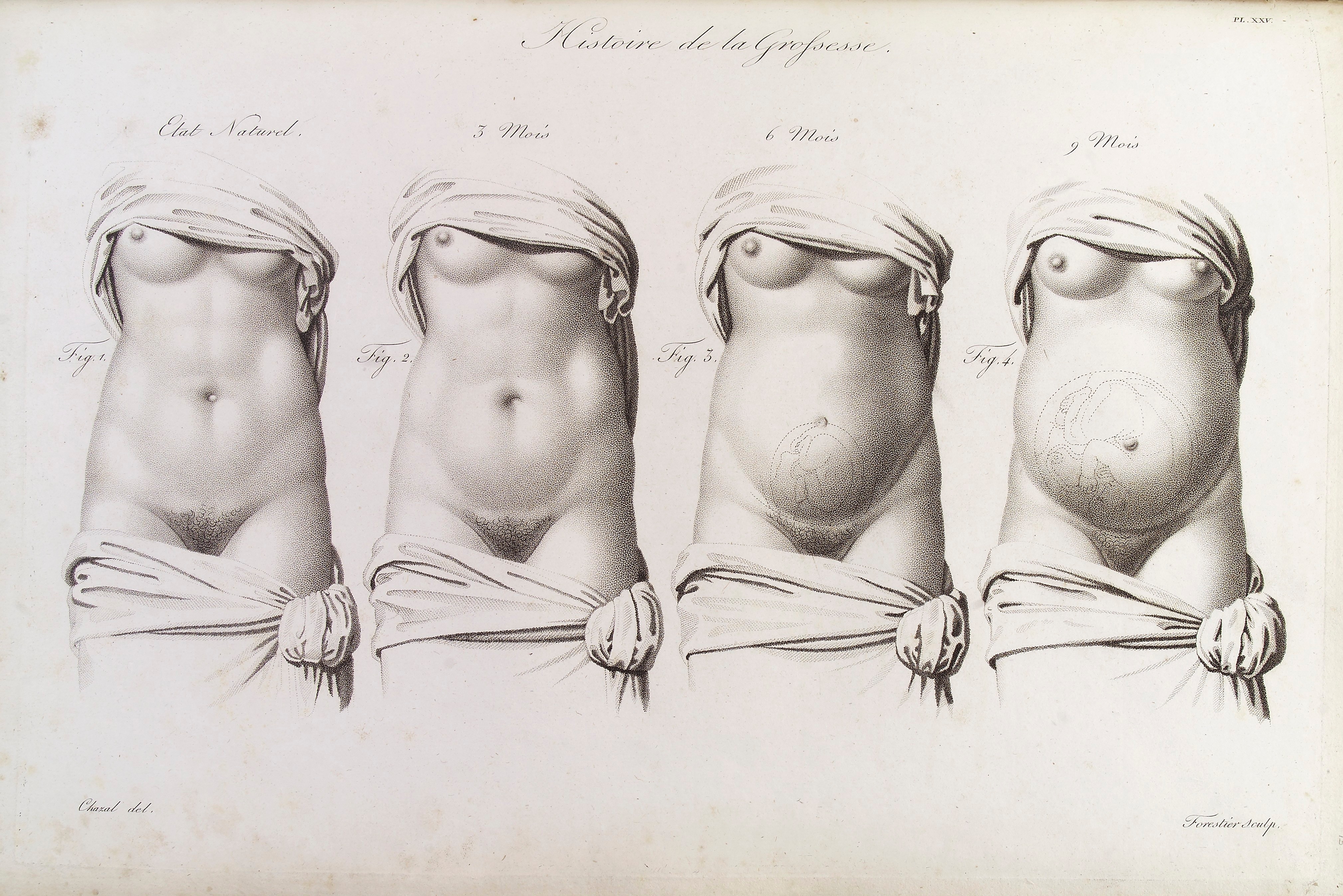 4038x2694 mothers as makers of death - Motherhood Drawing