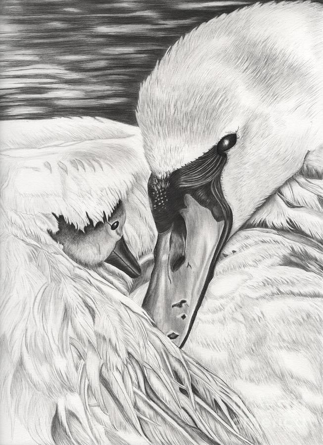 653x900 Mother's Love Drawing - Mothers Love Drawing