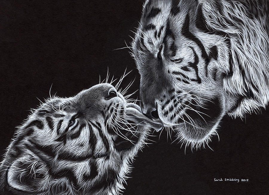 900x653 A Mothers Love Drawing - Mothers Love Drawing