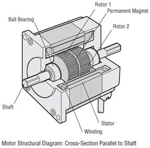 300x297 how stepper motors work - Motor Drawing