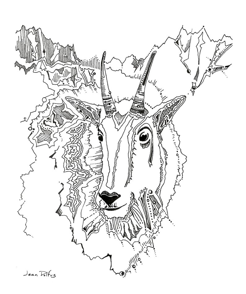 Mountain Goat Drawing at Explore collection of