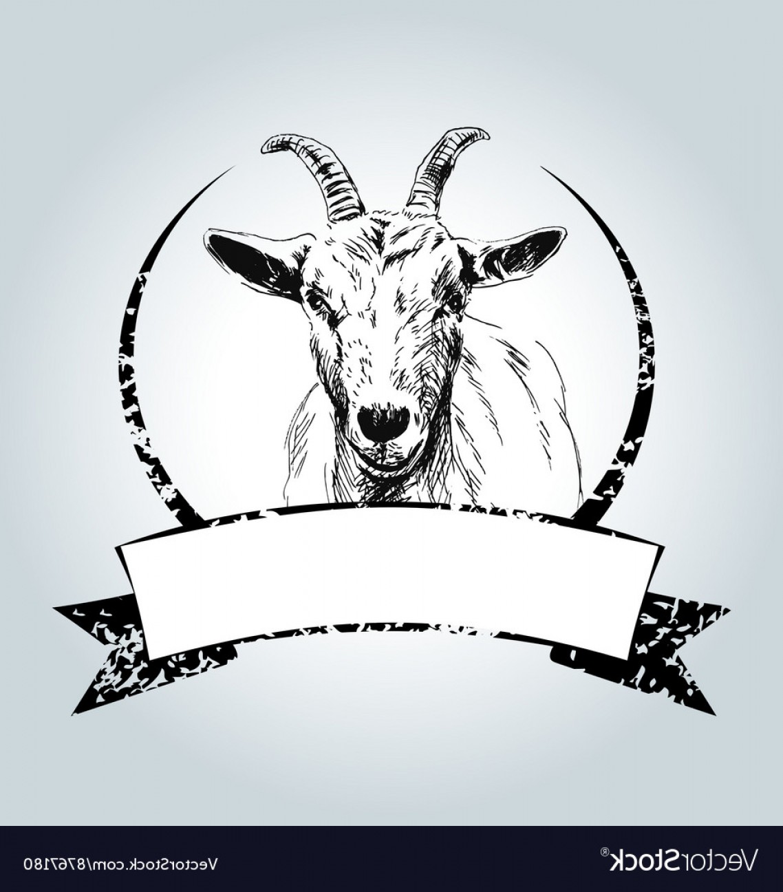 1138x1296 vintage label with drawing goat vector soidergi - Mountain Goat Drawing