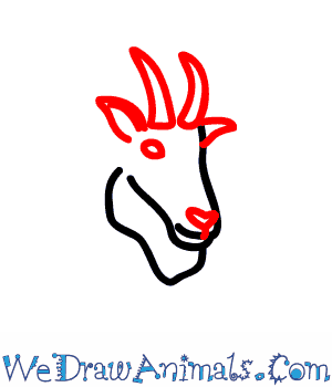 300x350 how to draw a mountain goat - Mountain Goat Drawing