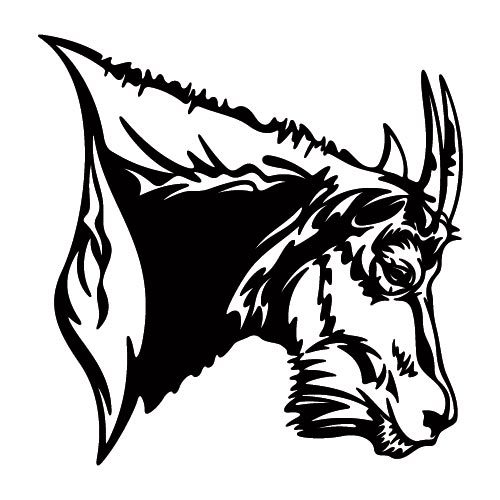 500x500 mountain goat decal - Mountain Goat Head Drawing