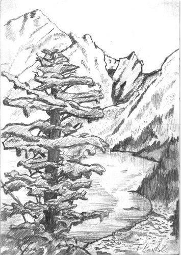 355x500 pencil drawing of a mountain lake - Mountain Lake Drawing