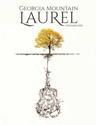 320x415 georgia mountain laurel november - Mountain Laurel Drawing