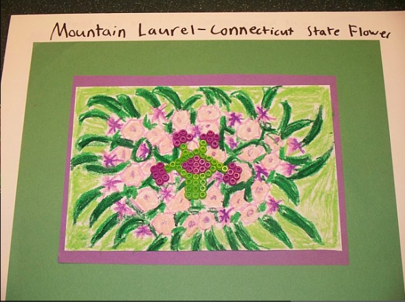 589x440 kids mountain laurel drawing - Mountain Laurel Drawing