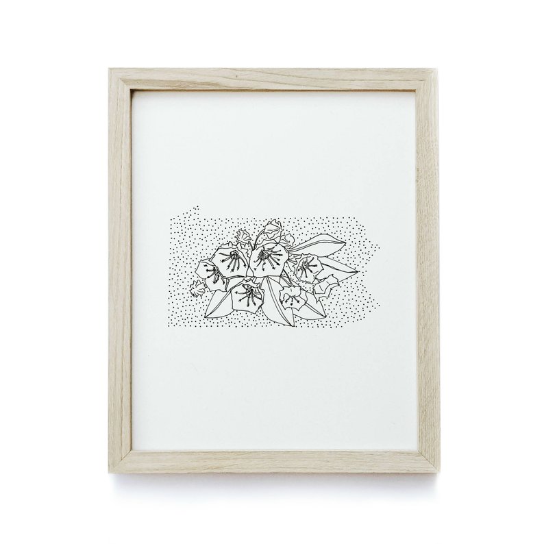 794x794 pennsylvania mountain laurel state flower drawing etsy - Mountain Laurel Drawing