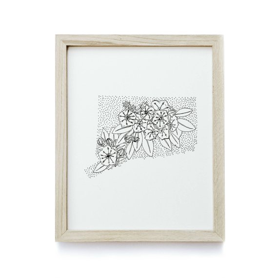 570x570 connecticut mountain laurel state flower drawing etsy - Mountain Laurel Drawing