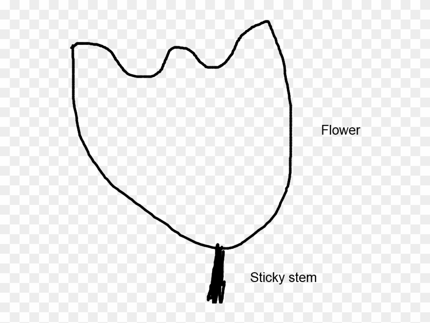 880x662 diagram of a mountain laurel flower clipart - Mountain Laurel Drawing