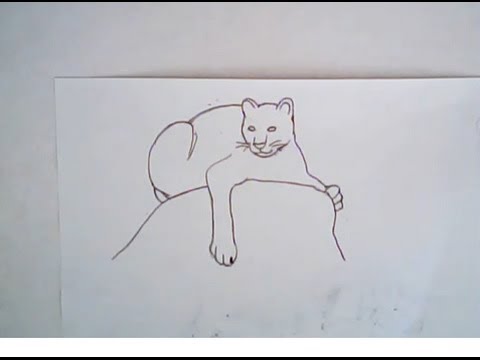 480x360 How To Draw A Mountain Lion - Mountain Line Drawing