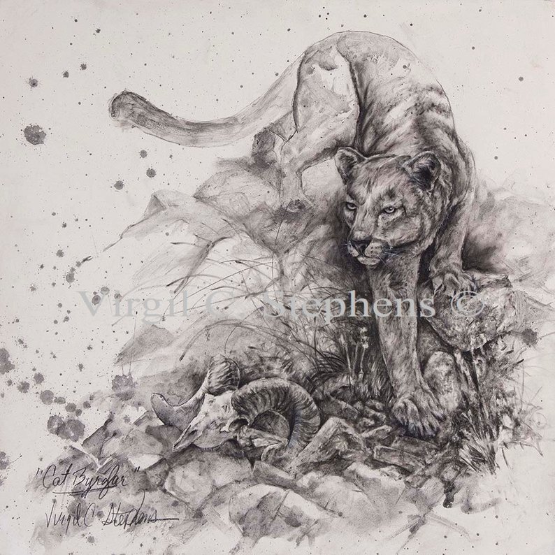 794x794 mountain lion entitled cat burglar drawing of a mountain lion etsy - Mountain Lion Drawing