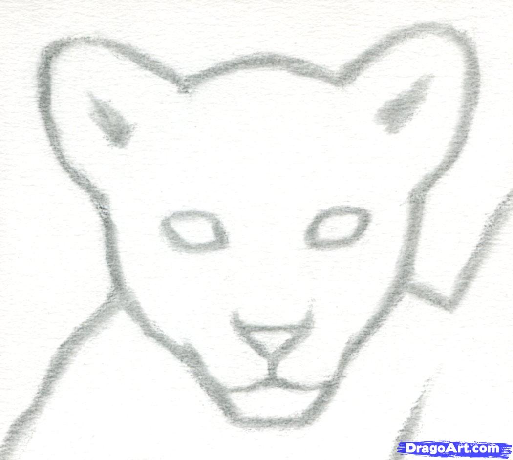 Pencil Drawing Mountain Lion