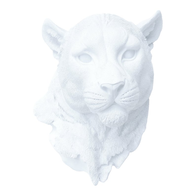 794x794 faux taxidermy white mountain lion head wall mount faux etsy - Mountain Lion Head Drawing