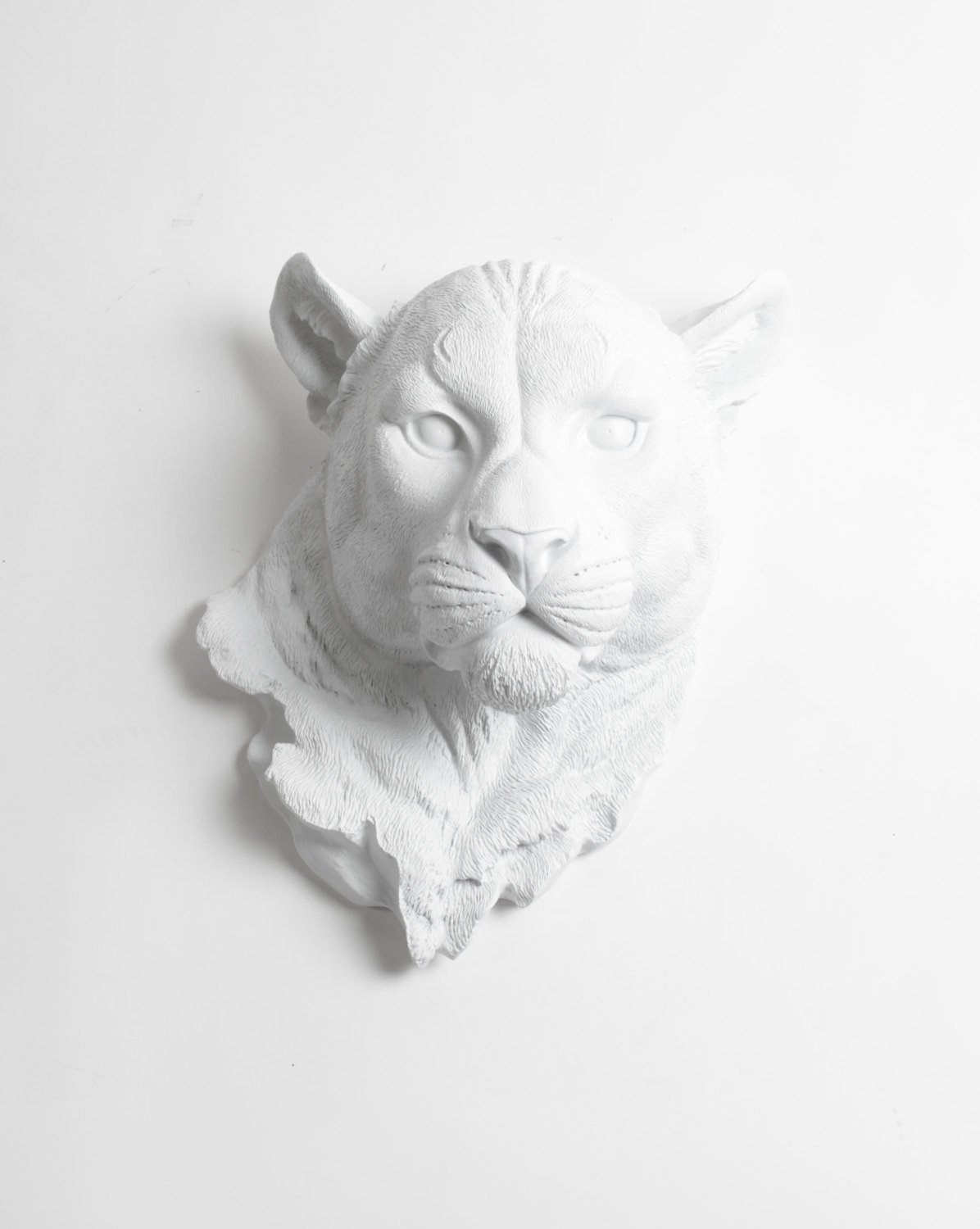 1196x1500 huge collection of 'mountain lion head drawing' download more - Mountain Lion Head Drawing