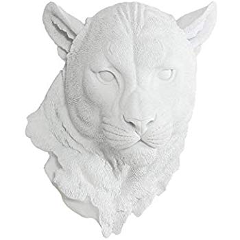 350x350 wall charmers large white faux mountain lion head wall - Mountain Lion Head Drawing