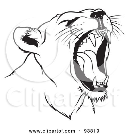 450x470 mountain lion clipart lion - Mountain Lion Head Drawing
