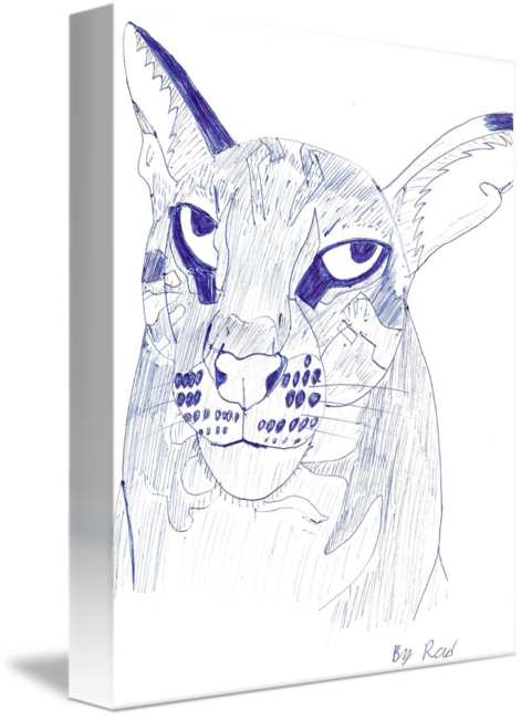 471x650 Mountain Lion Head Shot - Mountain Lion Head Drawing