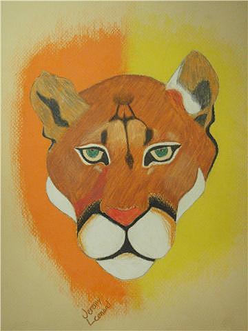 360x480 mountain lions head drawing - Mountain Lion Head Drawing