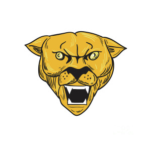 300x300 angry cougar mountain lion head drawing digital art - Mountain Lion Head Drawing